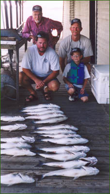 Striper caught on Lake Buchanan with Rick Ransom Striper Guide