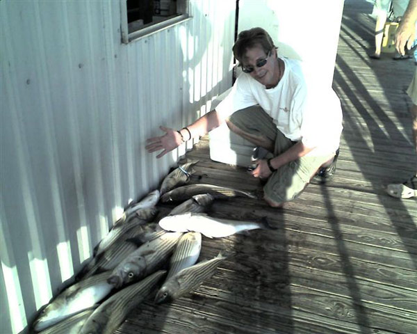 These striper were caught on Lake Buchanan with Rick Ransom Striper Guide on October 14, 2003