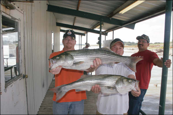 Striper caught on Lake Buchanan with Rick Ransom Striper Guide