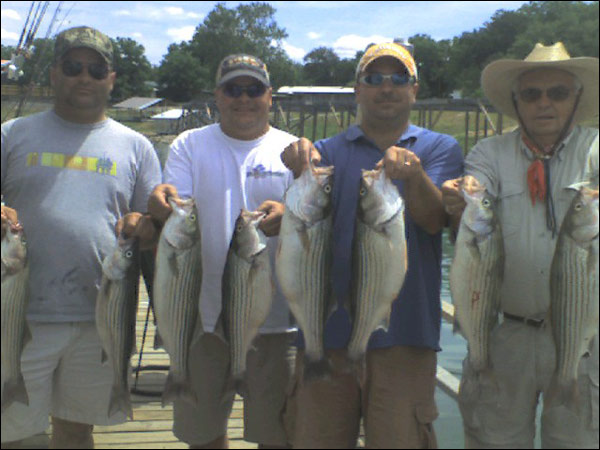 Striper caught on Lake Buchanan with Rick Ransom Striper Guide