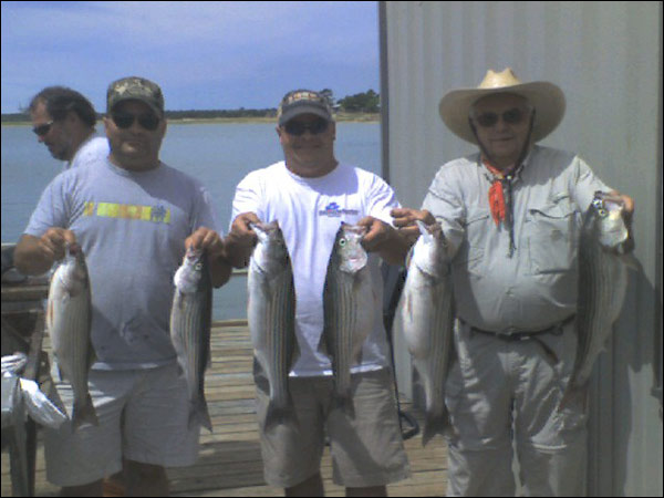 Striper caught on Lake Buchanan with Rick Ransom Striper Guide