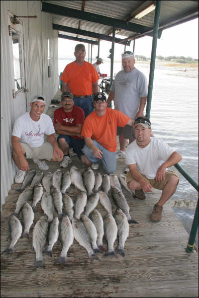 Striper caught on Lake Buchanan with Rick Ransom Striper Guide