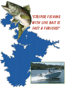 Striper fishing with live bait is fast and furious! Call Rick Ransom Lake Buchanan Striper Guide to book your trip!