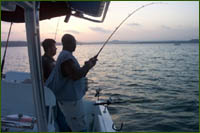 Striped bass fishing is generally good year round on Lake Buchanan in the Highland Lakes area of Central Texas.
